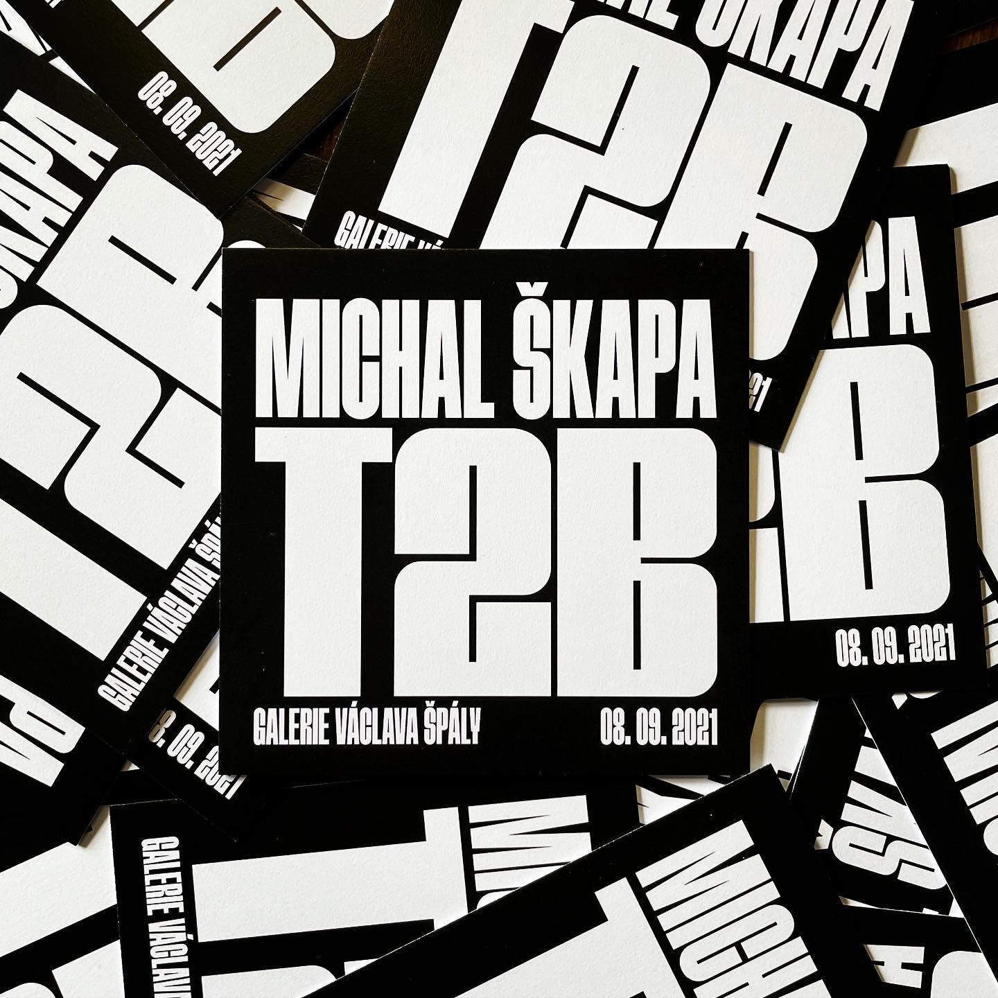 Michal Škapa - T2B