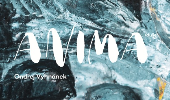 Ondřej Vyhnánek - ANIMA