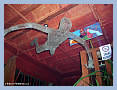 070224_BOHNISE_06 700x523 - (115527 bytes)