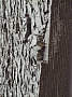 ITCA 2008 – MTSU 2008 | Národní Galerie, Praha