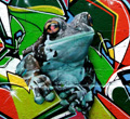 px