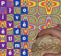 px