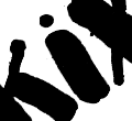 px