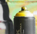px
