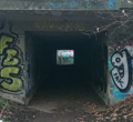 px
