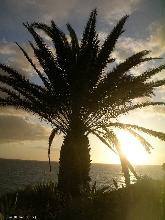 02_Tenerife