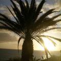 02_Tenerife