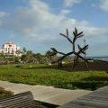03_Tenerife