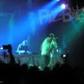 041116_KidKoala_02