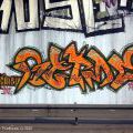 05modranymost