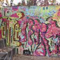 061021_Tabor_15