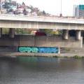 06_PCesta