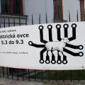 070305_ElektrickaOvce_01