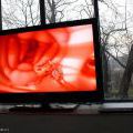 070305_ElektrickaOvce_08