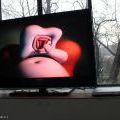 070305_ElektrickaOvce_09