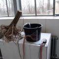 070305_ElektrickaOvce_10
