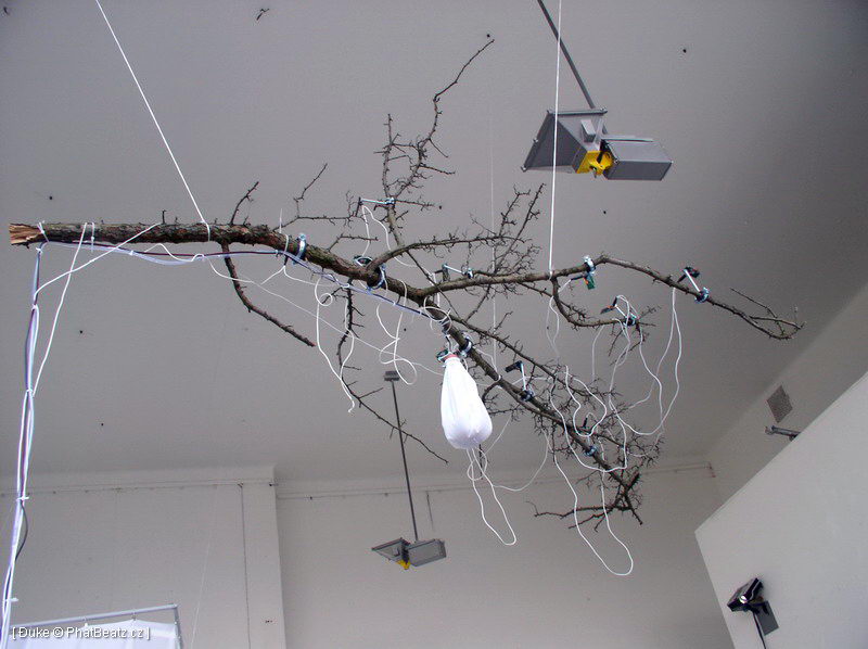 070305_ElektrickaOvce_12