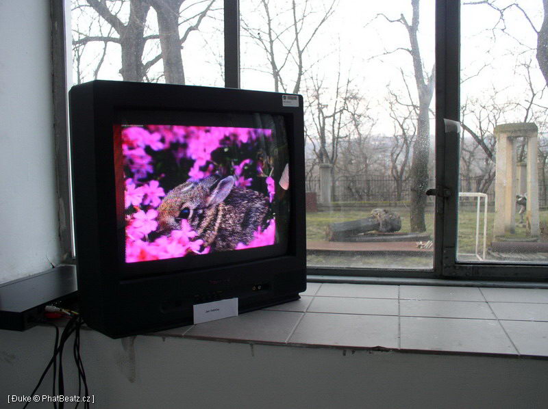 070305_ElektrickaOvce_13
