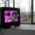 070305_ElektrickaOvce_13