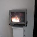 070305_ElektrickaOvce_14