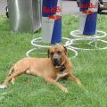 070629_Skillz_03