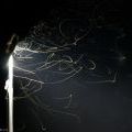 070713_HHA_107
