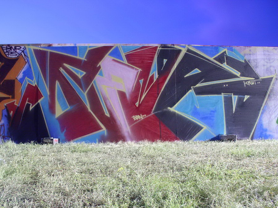 070714_HHA_Graff_43