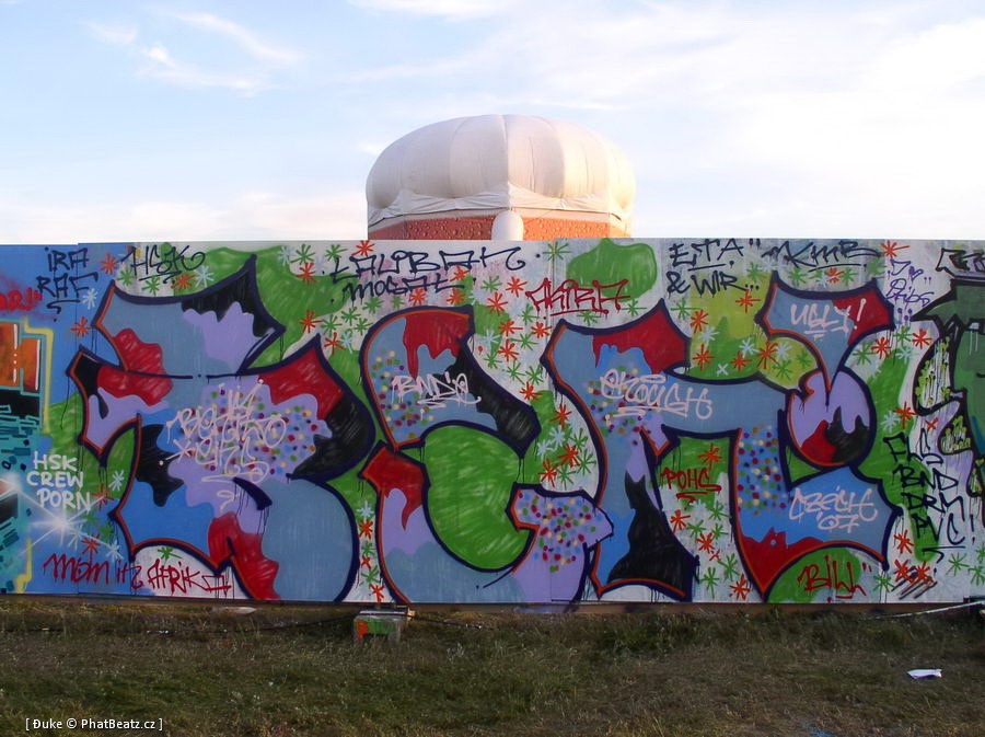 070714_HHA_Graff_53