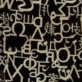 090506_TRansparency_03
