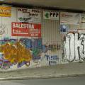 090516_Orionka_17