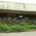 090516_Orionka_51