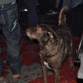 101207_Rekord_29