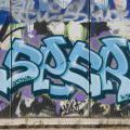 110508_Belarie-Orionka_025