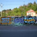 110508_Belarie-Orionka_097