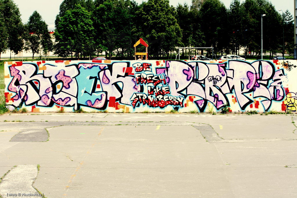 110521_Hodonin_11