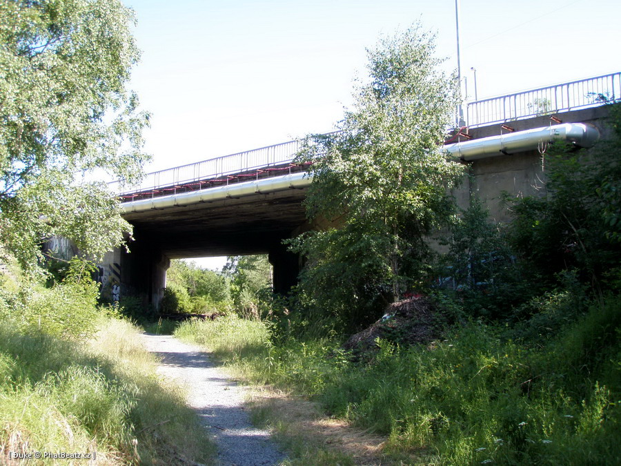 110530_Kolbenova_02