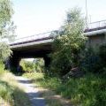 110530_Kolbenova_02