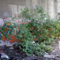110530_Kolbenova_13