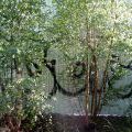 110530_Kolbenova_25