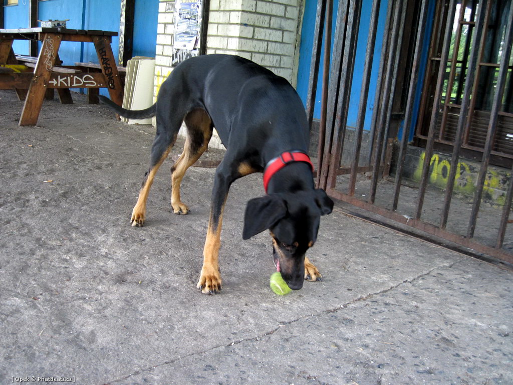 110806_Modrak_04