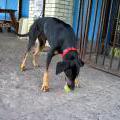 110806_Modrak_04