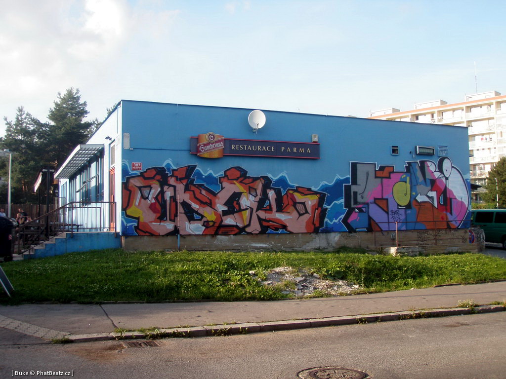 110806_Modrak_11