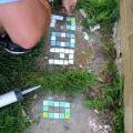 110806_Modrak_14