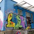 110806_Modrak_15