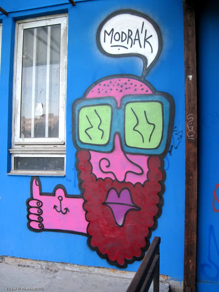 110806_Modrak_16