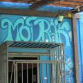 110806_Modrak_18-1
