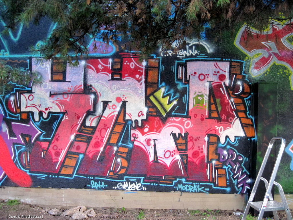 110806_Modrak_20