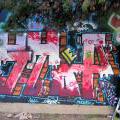 110806_Modrak_20