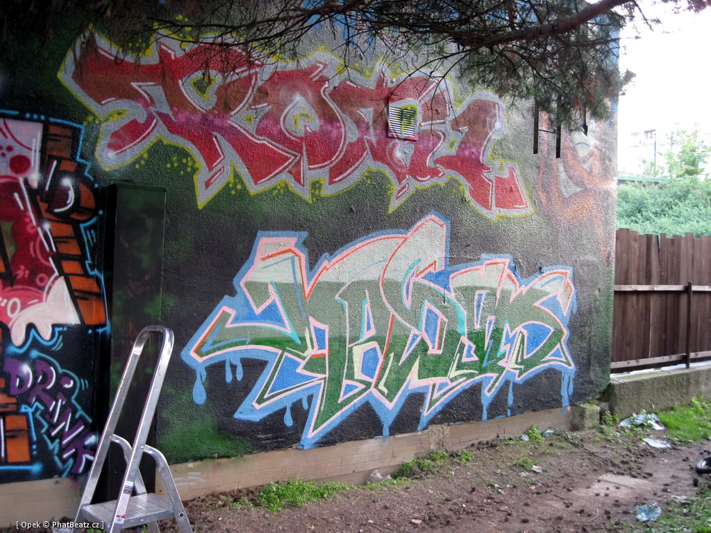 110806_Modrak_21