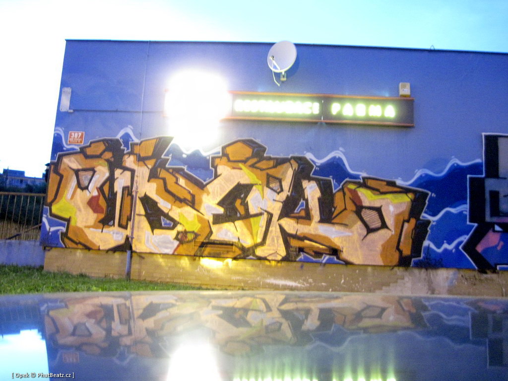 110806_Modrak_24